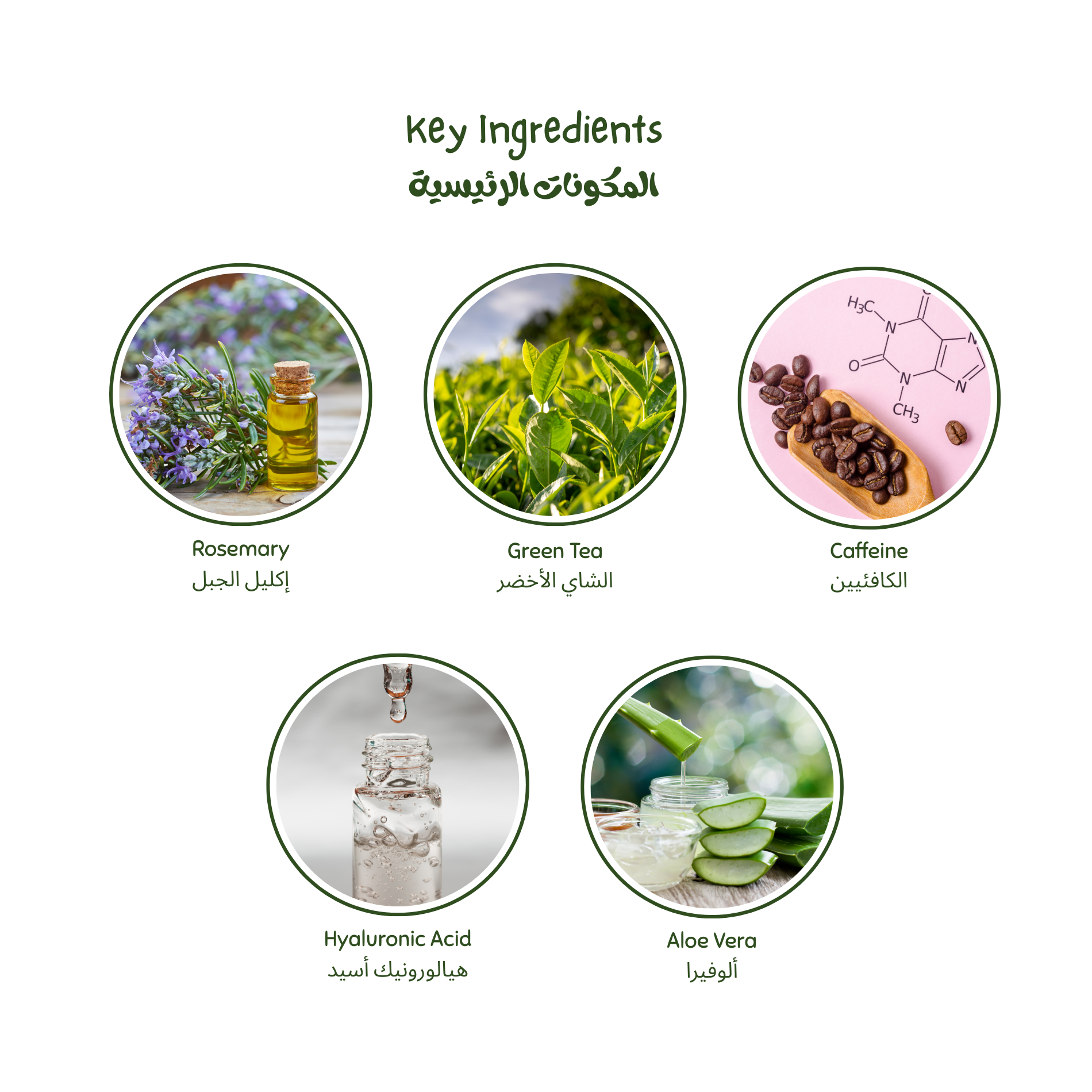 Key ingredients with images and names on a white background of Luminneal5 Hair Shield Spray